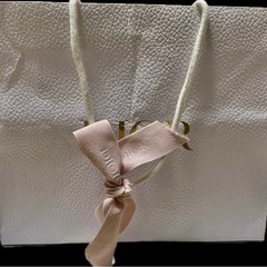 DIOR ブランド袋の画像