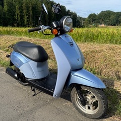 HONDAトゥデイAF61の画像
