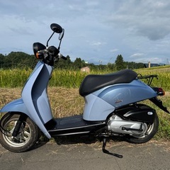HONDAトゥデイAF61の画像