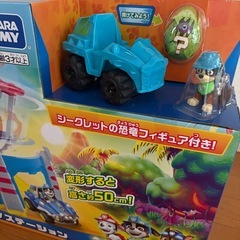 パウパトの画像