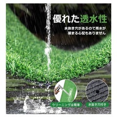 人工芝【購入後の余り【2.27X1m】の画像