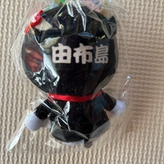 西表島限定ドラえもん⭕️未開封の画像