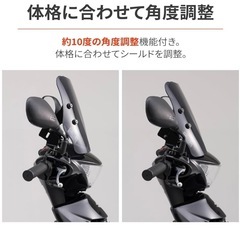 v125s デイトナスモークスクリーンの画像