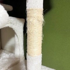 キャットタワー（9/20〆切）の画像