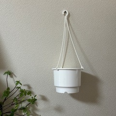 吊り下げプランター　植木鉢