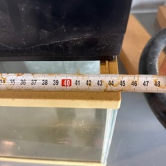 水槽の画像