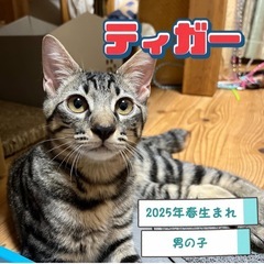甘えん坊でイケメンくん