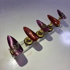 秋ネイル マグネットの画像