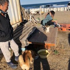 使ってない空家譲ってください。