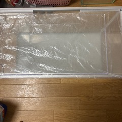 水槽の画像