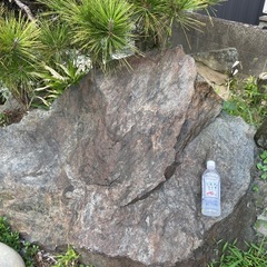 庭石/景観石/観賞用/四日市市/0円/引き取り限定の画像