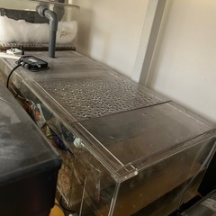 1600アクリル水槽の画像