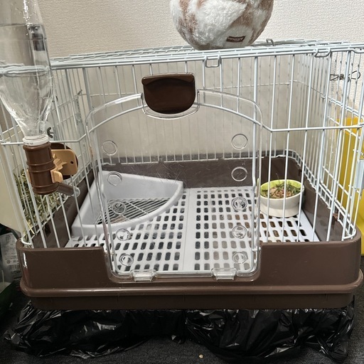 木箱入 絹謹製 高品質 匠のしるく 毛布2枚 未使用 木箱入 絹謹製 匠の