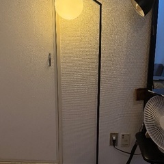 Modico-Fの画像