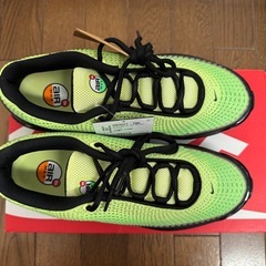 NIKE AIR MAX DN 25cm の画像