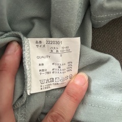 フリル付き襟 ミントグリーン Tシャツ Sサイズの画像