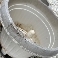 【ジャンク品】プランター7個セット
の画像