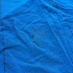 　防風ネット？の画像
