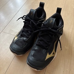 ミズノバレーボールシューズ  25.0cmの画像