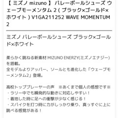 ミズノバレーボールシューズ  25.0cmの画像