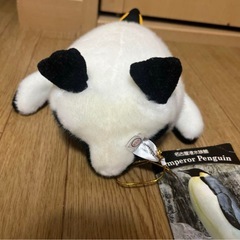 二つセットで！エンペラーペンギンとカワウソのぬいぐるみセットの画像