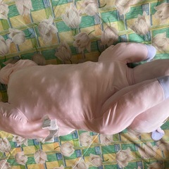 ユニコーン抱き枕の画像