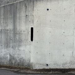 お引越し、なかなか行けないお墓の掃除承ります！の画像