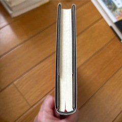 赤の他人の爪二つ 磯崎憲一郎の画像