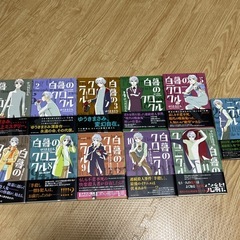 コミックス 白暮のクロニクル 1〜11巻セットの画像