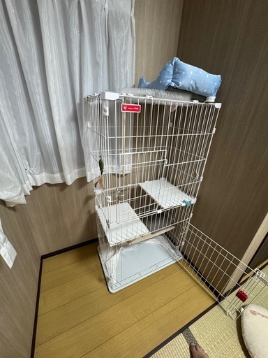 猫　ケージ