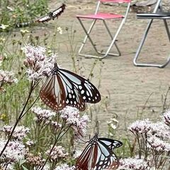 空き地　70　坪　有効活用したいと思います。