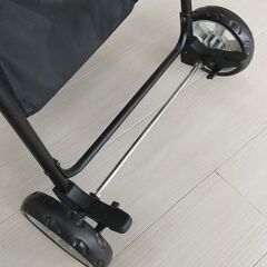 小さいわんこ用のペットキャリーの画像