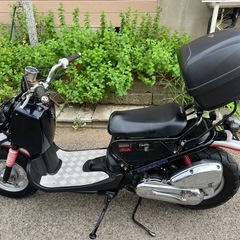 HONDA　ズーマー 大人気車両 早い者勝ち！の画像