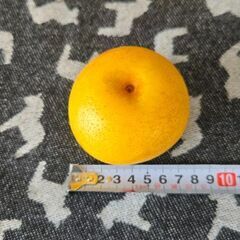 梨　あきづき二十世紀　小玉ミックス　一個90円の画像