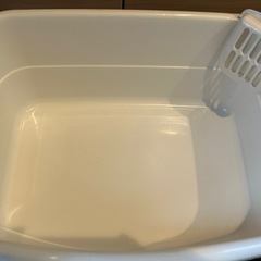 猫トイレの画像