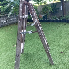 ヴィンテージ　ウッド　ラダー　ディスプレイ用の画像
