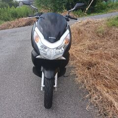 自賠責8.8マットブラック.PCX125.好調.始動動画.シグナス.N-MAX125の画像