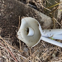 12段　造園梯子の画像