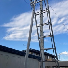 12段　造園梯子の画像