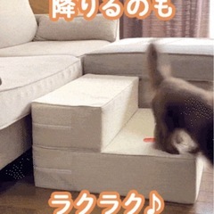 ペット用階段マットレスの画像