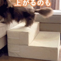 ペット用階段マットレスの画像