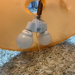 レトロ　オレンジ　照明の画像