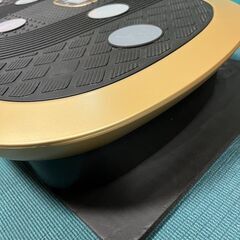 ボディーシェイカープロの画像