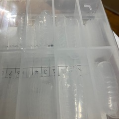 I2509-165 LULUGEL ネイルチップ 未開封品の画像