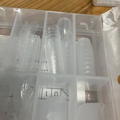 I2509-166 LULUGEL ネイルチップ 未開封品の画像