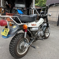 VanVan75の画像