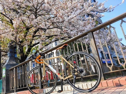 ロードバイク ルイガノ