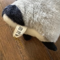 海遊館　皇帝ペンギンの赤ちゃん　ぬいぐるみの画像