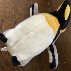 海遊館　皇帝ペンギンの赤ちゃん　ぬいぐるみの画像