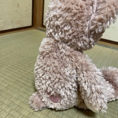 シェリーメイの画像
